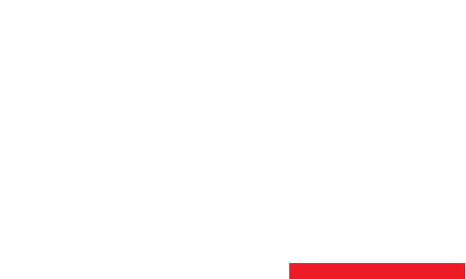 icon_since_1990